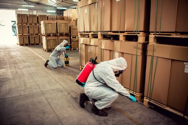 Best Best Pest Control Companies  in Georgetown, CT